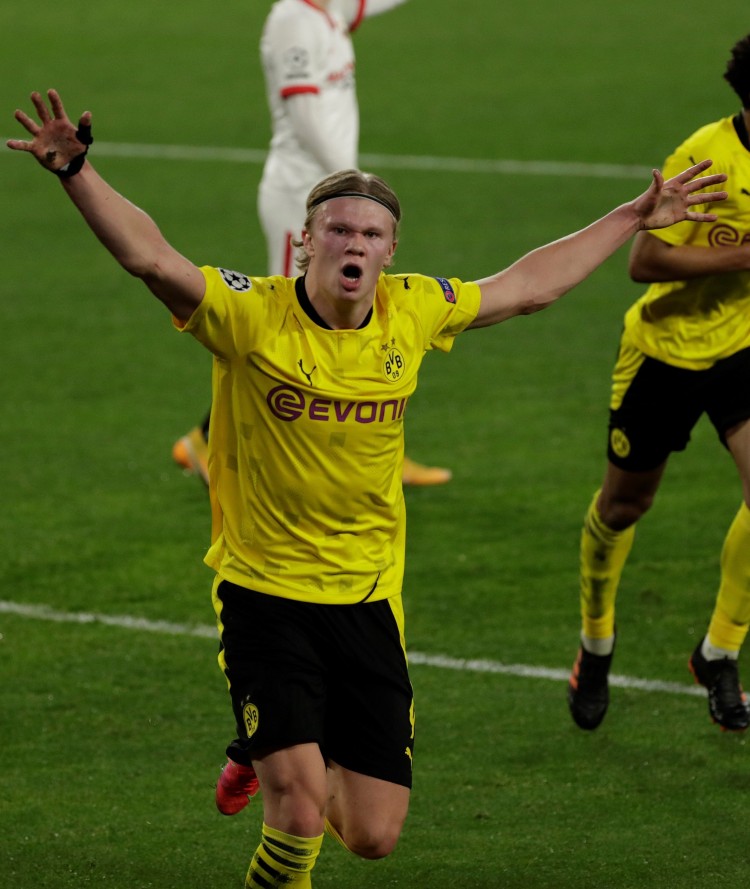 往往把理性 往往把理性